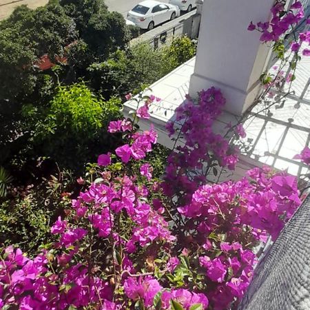 Blanca Rosa Valparaiso B&B Kültér fotó